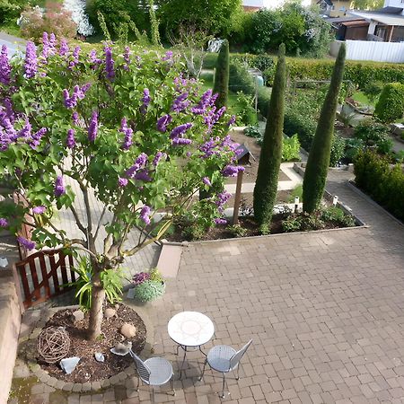 Ferienwohnung Schillinger Sasbach am Kaiserstuhl Exteriér fotografie