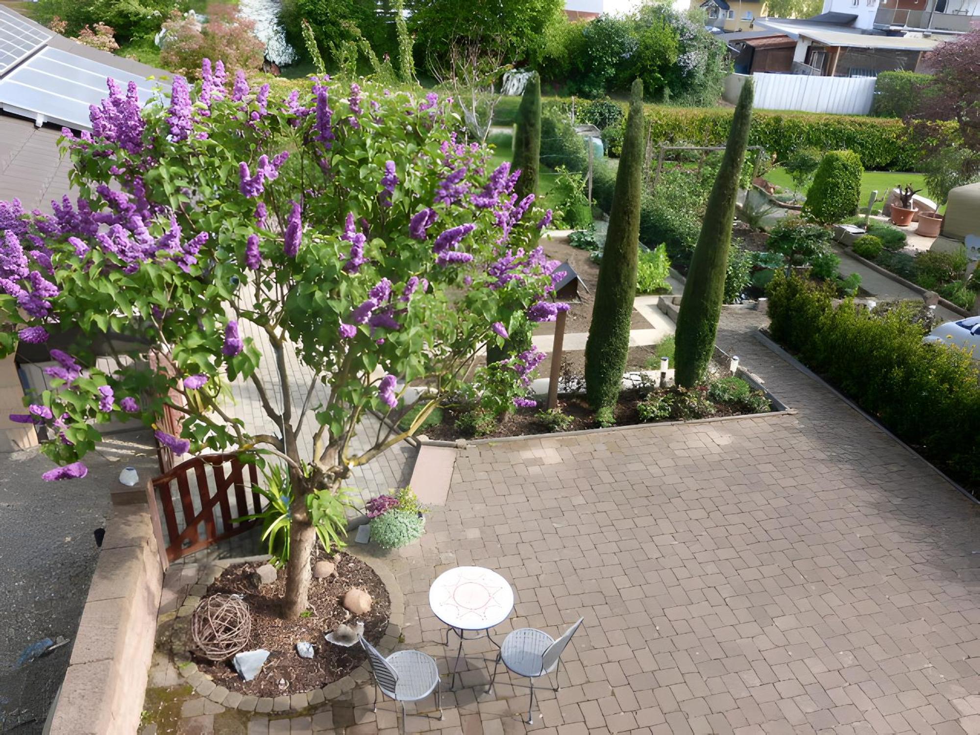 Ferienwohnung Schillinger Sasbach am Kaiserstuhl Exteriér fotografie